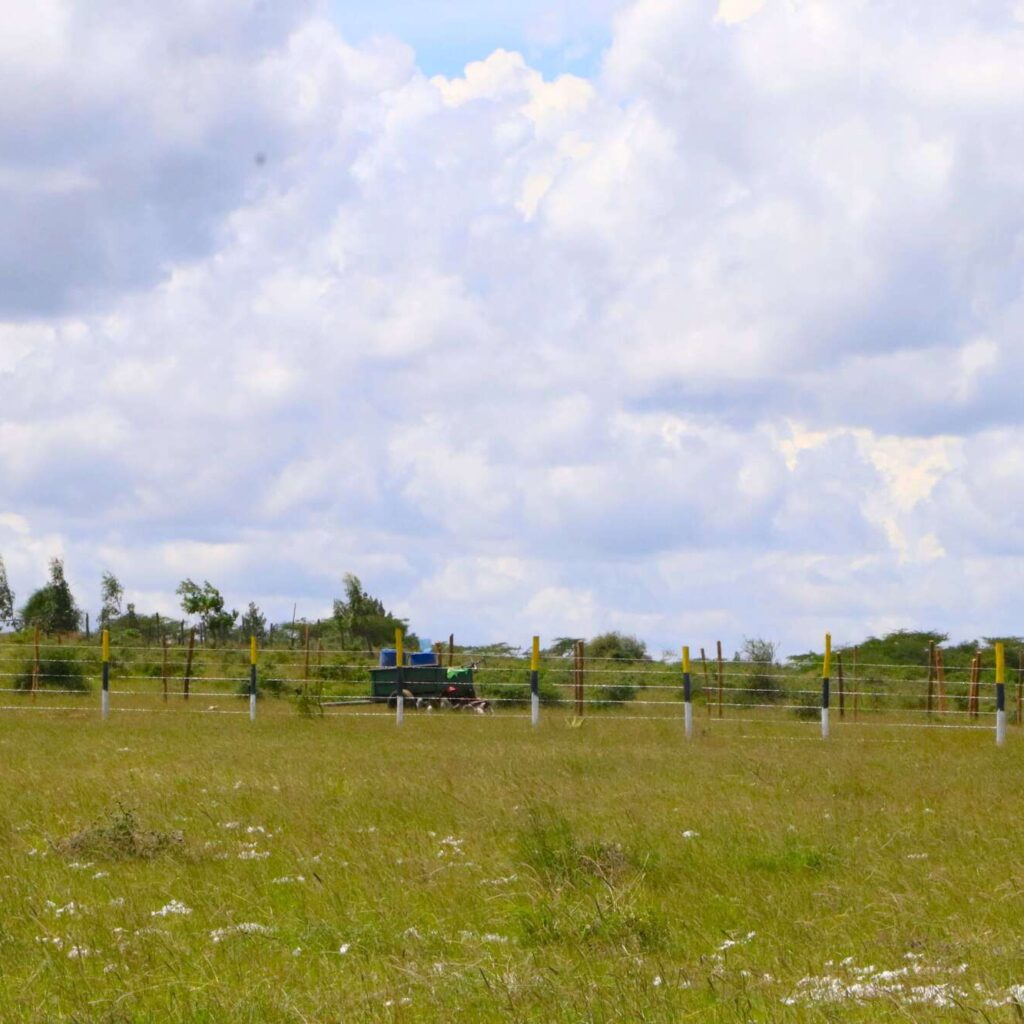 50x100 Affordable Plot for Sale (2)