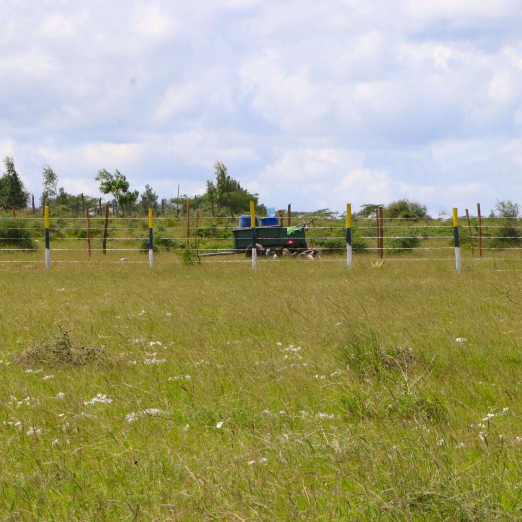 50x100 Affordable Plot for Sale (3)