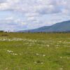 50x100 affordable plot for sale (4)