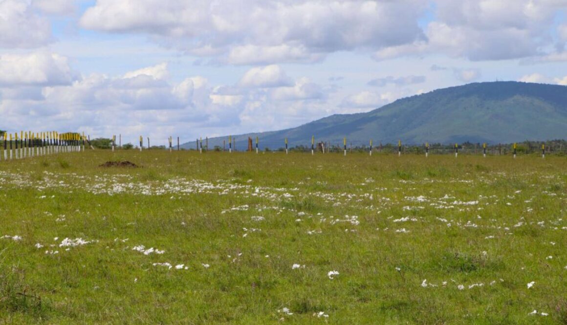 50x100 affordable plot for sale (4)