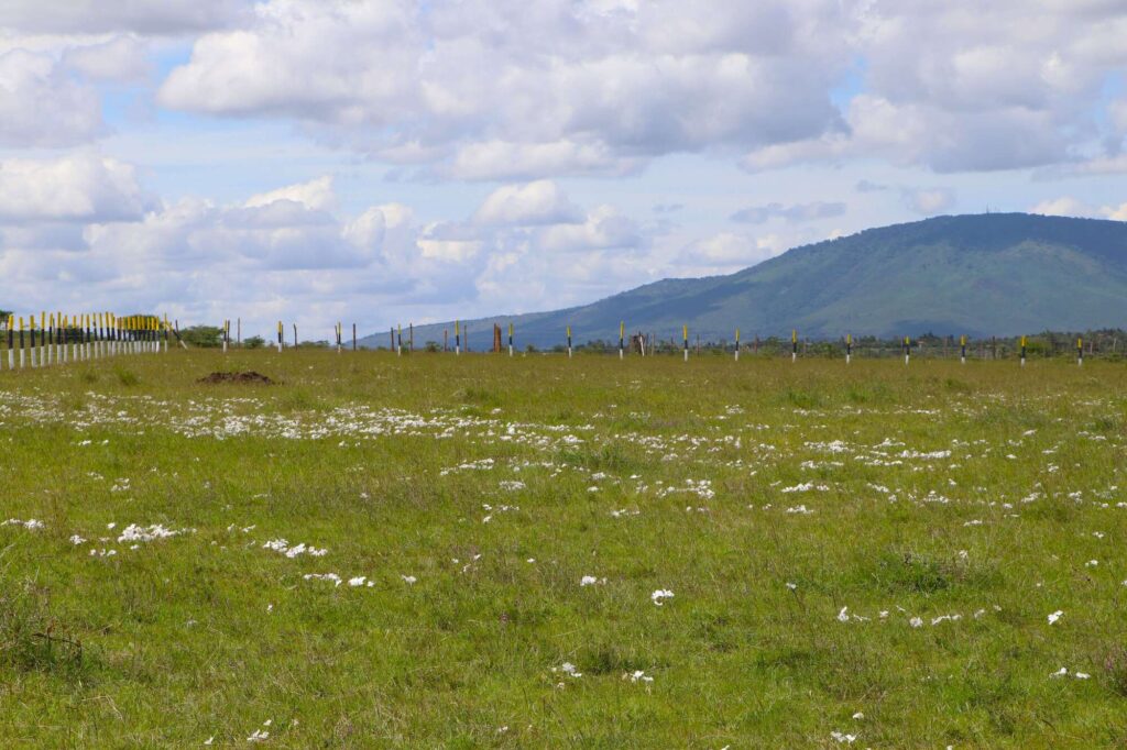 50x100 affordable plot for sale (4)