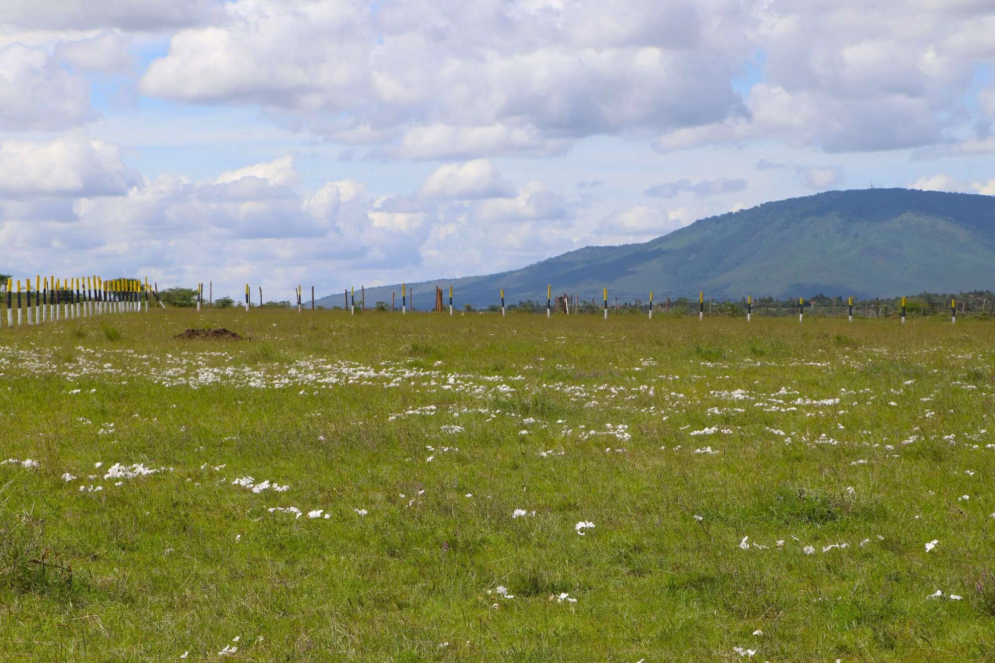 50x100 affordable plot for sale (4)