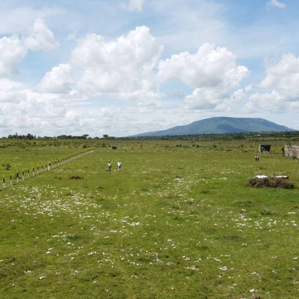 50x100 Affordable Plot for Sale in Kantafu - Mountain View Estate; Aerial View of Prime Residential Land