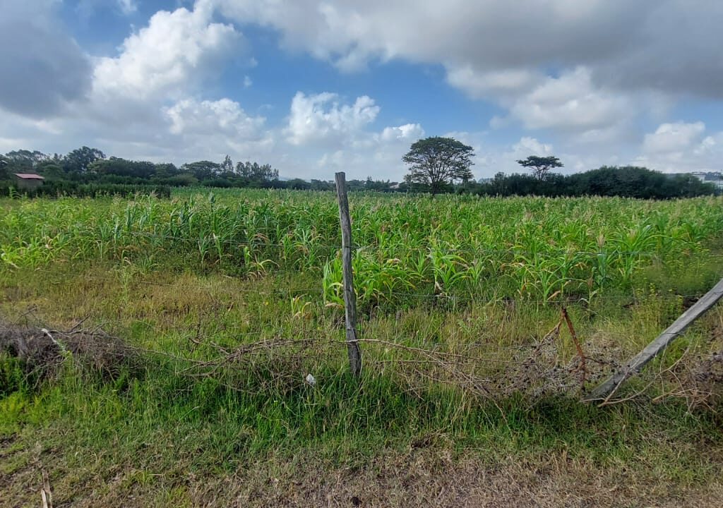 50x100 plots for sale, Matuu Victory Garden Phase 3, affordable land Kenya, ready title plots, flexible payment plans Kenya (2)