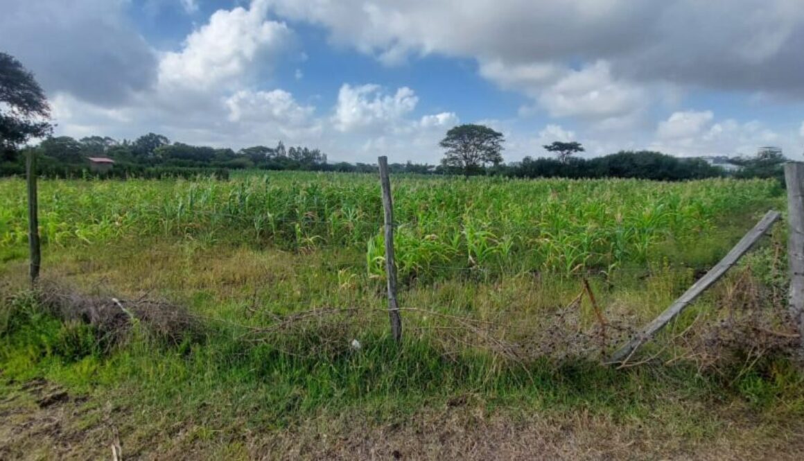 50x100 plots for sale, matuu victory garden phase 3, affordable land kenya, ready title plots, flexible payment plans kenya (2)