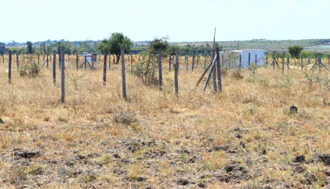 Joska malaa zuri garden affordable plots for sale near kangundo road 8