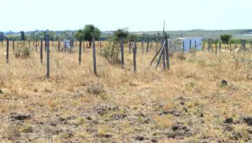 Joska malaa zuri garden affordable plots for sale near kangundo road 8