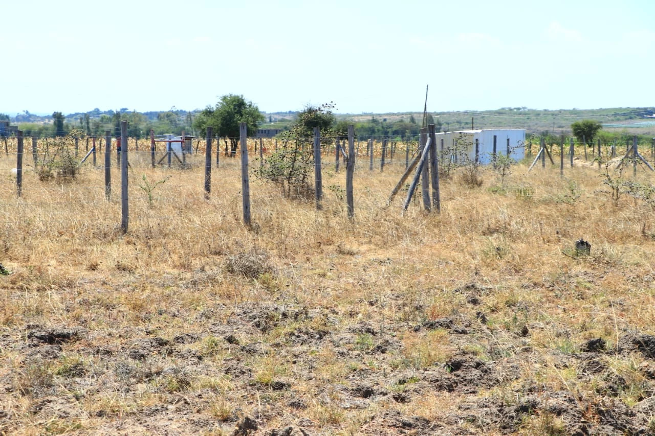 Joska malaa zuri garden affordable plots for sale near kangundo road 8