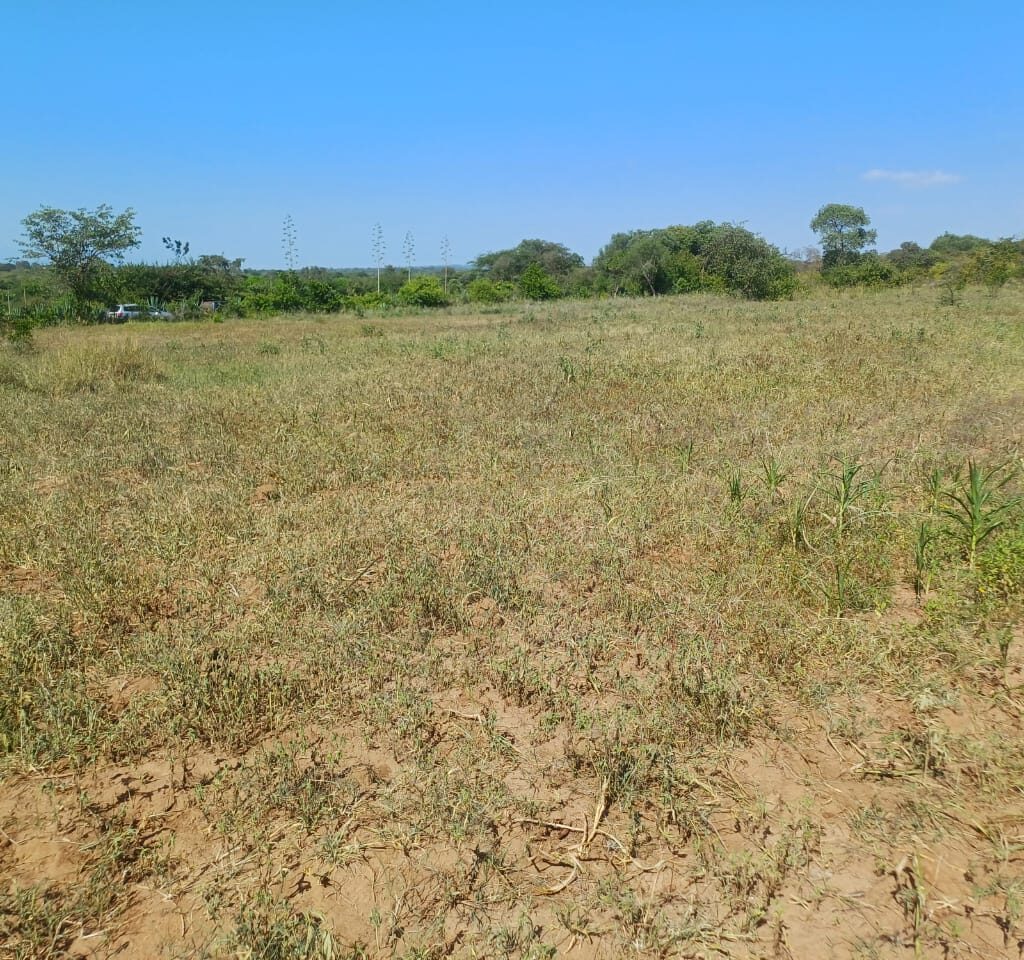 Masinga-Baraka-Garden-Phase-1-50x100-plots-affordable-land-in-Masinga-plots-near-tarmac-land-with-water-and-electricity-Jaystar-Real-Estate-limited-offer-plots-2 (1)