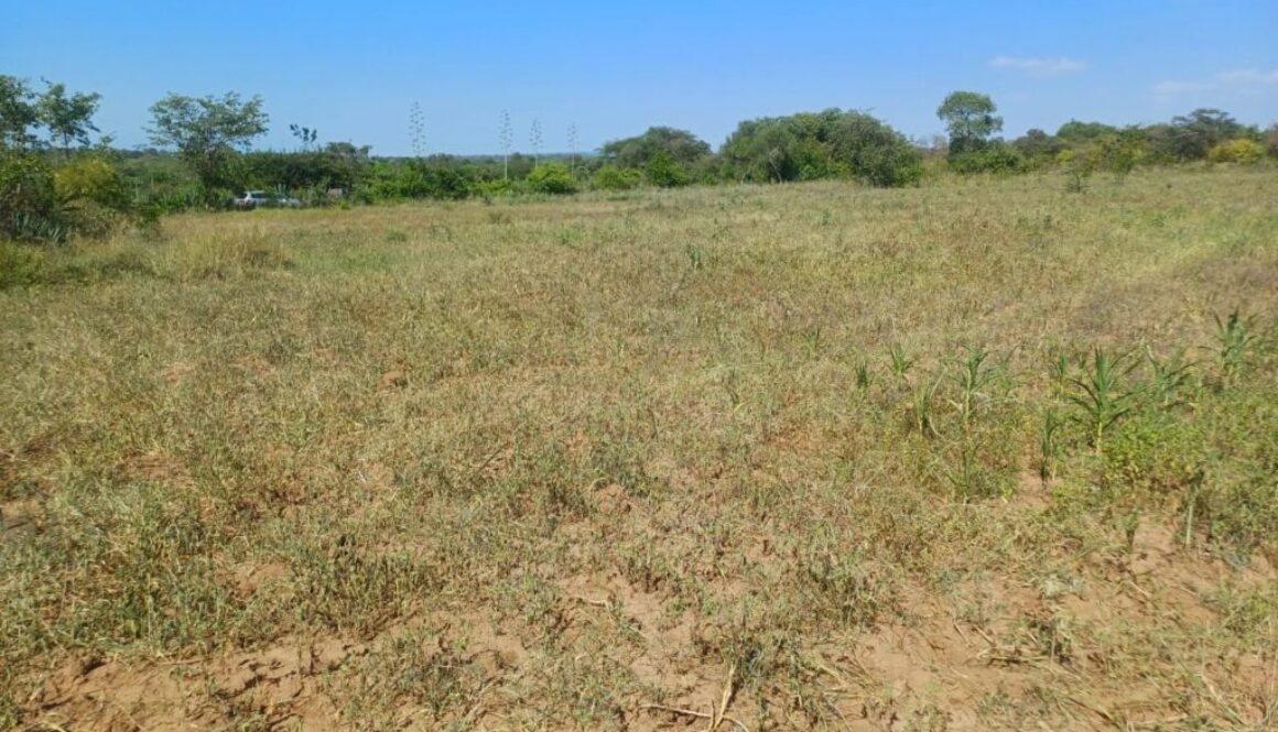 Masinga baraka garden phase 1 50x100 plots affordable land in masinga plots near tarmac land with water and electricity jaystar real estate limited offer plots 2