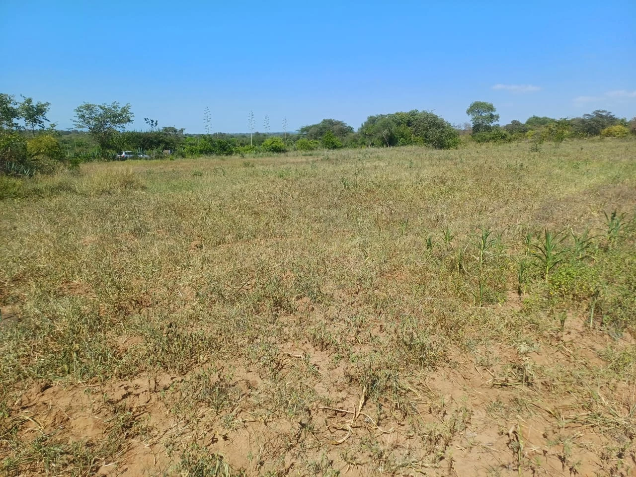 Masinga baraka garden phase 1 50x100 plots affordable land in masinga plots near tarmac land with water and electricity jaystar real estate limited offer plots 2