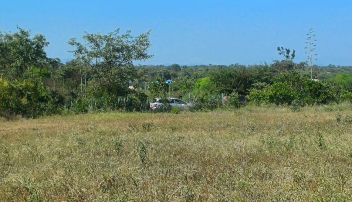 affordable plots