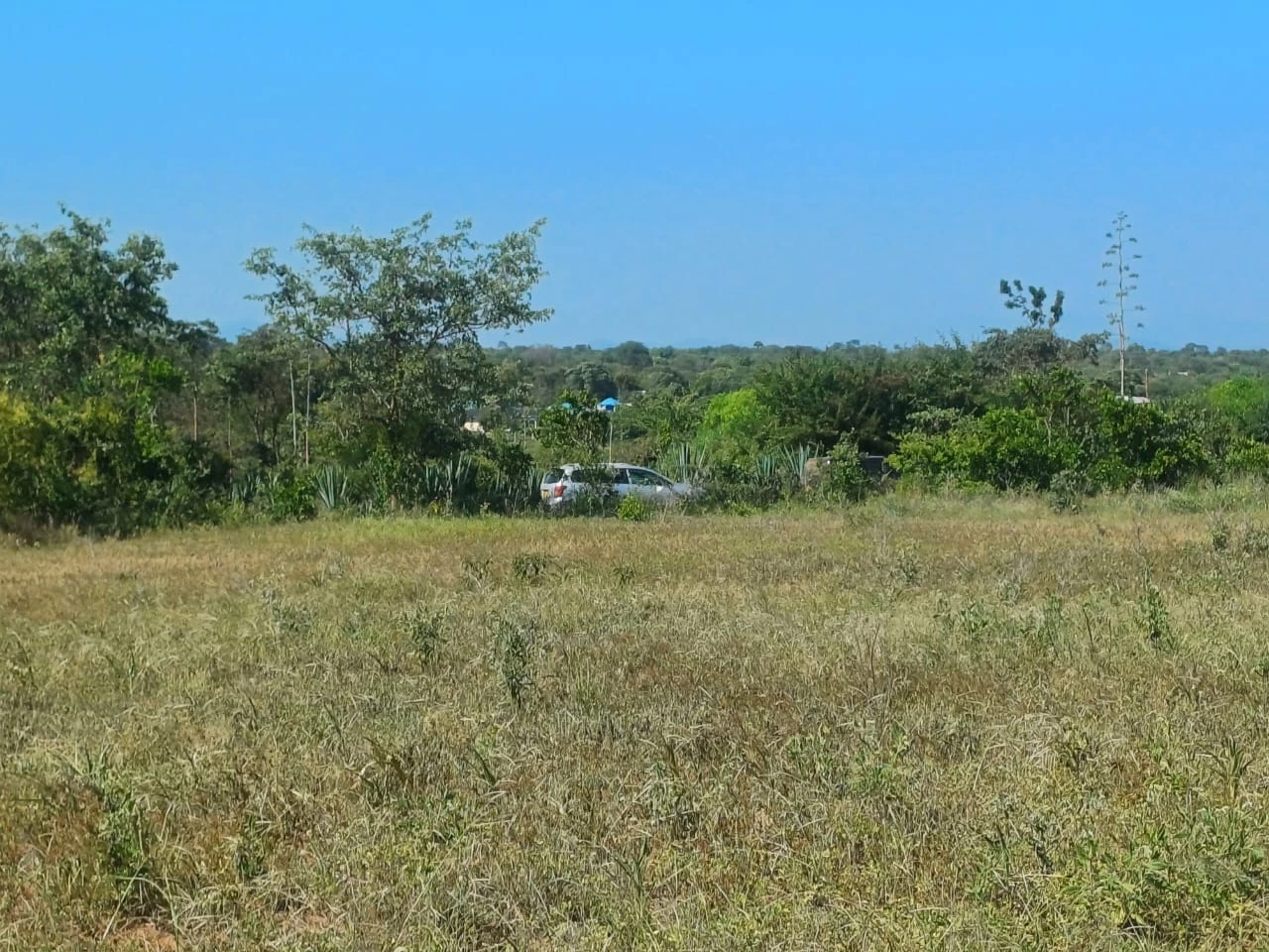 affordable plots