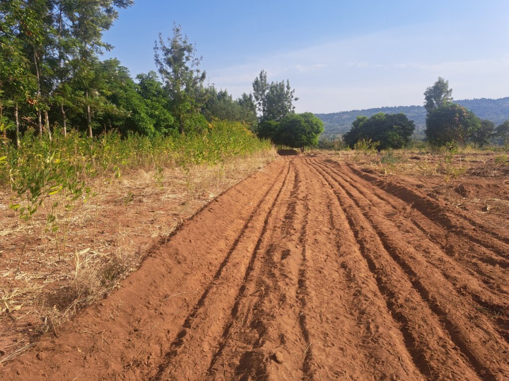 Beaconed 50 by 100 plot ready for sale with title deed in Kenya machakos county