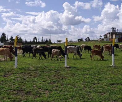 Affordable 50x100 plots for sale in Kenya with ready title deeds in Joska, Matuu, Makuyu and Kantafu