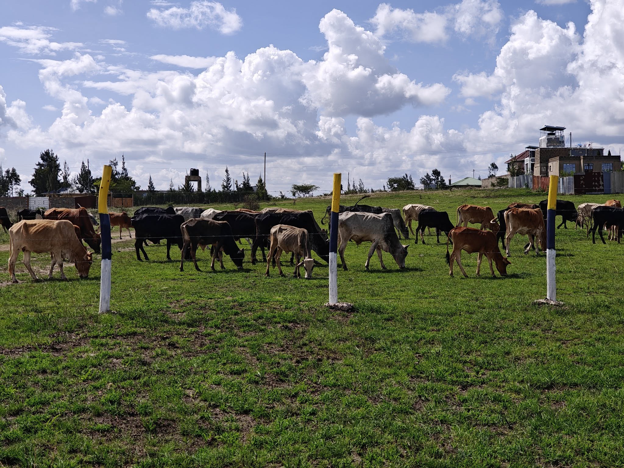 Affordable 50x100 plots for sale in Kenya with ready title deeds in Joska, Matuu, Makuyu and Kantafu