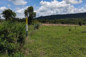 land-near-kenol-highway